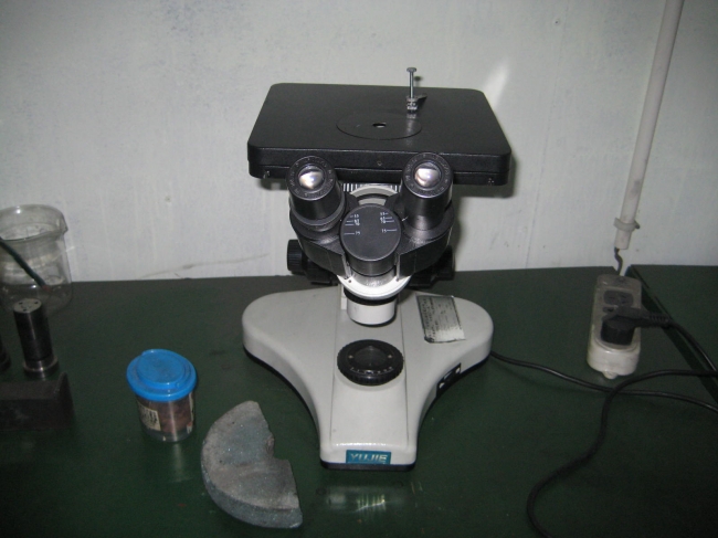Electronic Microscope